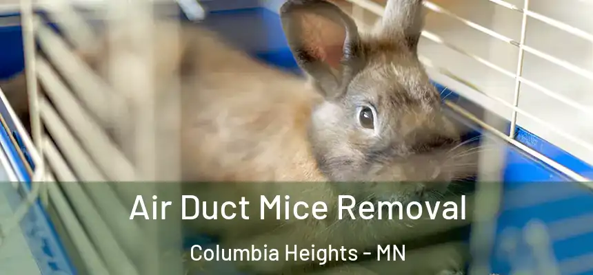  Air Duct Mice Removal Columbia Heights - MN