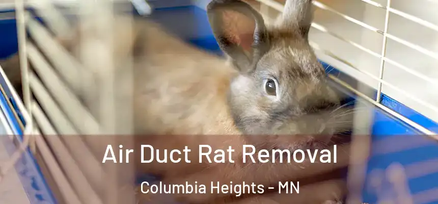 Air Duct Rat Removal Columbia Heights - MN