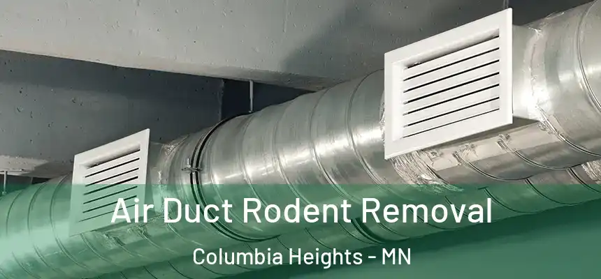 Air Duct Rodent Removal Columbia Heights - MN