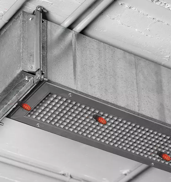 Affordable Insect Removal from Air Ducts in Columbia Heights, MN