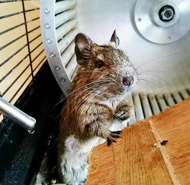 Why Homeowners & Businesses Trust Us Columbia Heights, MN?